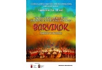 Panevėžiečiai kviečiami į ukrainiečių liaudies šokių ansamblio „Barvinok” padėkos koncertą