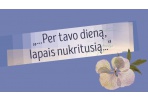 Elenos Mezginaitės biblioteka kviečia minėti 81-ąjį poetės Elenos Mezginaitės gimtadienį
