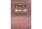 Dailės galerijoje – paroda „Porceliano miestas“