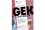 Kraštotyros muziejuje – GEK diena