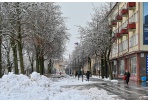 Didėja sergamumas gripu ir virusinėmis infekcijomis