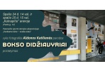 Fotografės Aldonos Katilienės paroda „Bokso didžiavyriai“