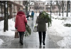 Numatomi renginiai