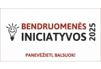 Prasidėjo balsavimas už gyventojų pasiūlytas bendruomenės iniciatyvų idėjas Panevėžiui