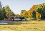 Per Vėlines į Šilaičių kapines – nemokamais autobusais