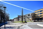 Ketvirtadienį vyks Tarybos posėdis 