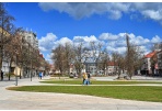 Panevėžio miesto darbdaviai kviečiami dalyvauti jaunimo įdarbinimo vasarą apklausoje