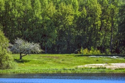 atsisiųsti (4)