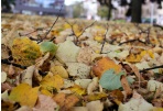 Antrą mėnesį iš eilės Panevėžyje mažėja šilumos kaina