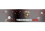 Į Panevėžį atkeliauja jubiliejinis animacijos festivalis „Tindirindis”