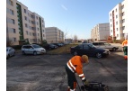 Pirmoji kregždė tvarkantis daugiabučių aplinką