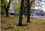 Panevėžyje griežtinamos naktinės prekybos alkoholiu sąlygos 
