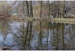 „Darom“ tvarką Panevėžyje!