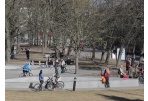 Numatomi renginiai