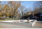 Numatomi renginiai