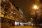 Kultūros ir meno renginiai Panevėžyje gruodžio 19-sausio 4 d. 