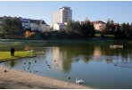 Kultūros ir meno renginiai Panevėžyje kovo 20-balandžio 5 d. 