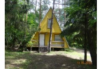 2015 m. rugpjūčio 11 d. 11 val.