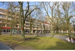 Nuomojantiems socialinį būstą ar jo laukiantiems privalu deklaruoti turtą ir pajamas