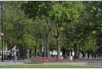 Numatomi renginiai