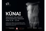 Fotografijos galerijoje – S. Saladūno paroda 