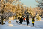 Laisvalaikio idėjos