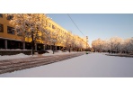Panevėžio kolegijoje – knygos pristatymas