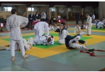 Sekmadienį - Baltijos šalių SHOTOKAN karatė čempionatas