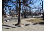 Panevėžyje šviesoforai veiks visą parą
