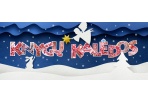 Kviečia Knygų Kalėdos: padovanok naujų knygų savo bibliotekai! 