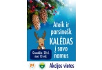 Rytoj nemokamai dalins eglių šakas