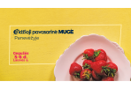 Savaitgalį - didžioji pavasarinė mugė