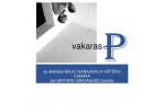 G. Petkevičaitės-Bitės bibliotekoje – poezijos, muzikos ir šokio valanda