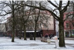 Laisvalaikio idėjos