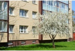 Daugės tvarkingų daugiabučių įvažų