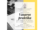 Panevėžio jaunimui – vasaros praktikos projektas
