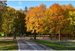 Laisvalaikio idėjos
