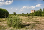 Aiškėja Kniaudiškių parko vizija