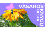 G. Petkevičaitės-Bitės bibliotekoje tęsiasi „Vasaros knygų fiesta“