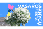 Paskutinė „Vasaros knygų fiesta“