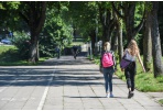 Laisvalaikio idėjos