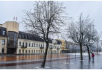 Įgyvendinamas savivaldybių viešųjų sporto paslaugų teikėjų kompetencijų ugdymo projektas 