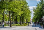 Prasideda vasaros renginių projektas „Susitikime penktadienį“!