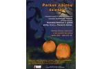 Kultūros ir poilsio parkas žibintų šviesoje