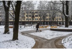 Panevėžys pasiruošęs žiemos sezonui