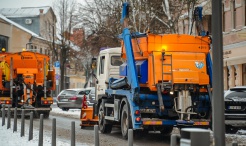 Ž. Večiorkutės nuotrauka Ž. Večiorkutės nuotrauka