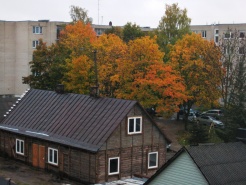 Aurėjos Juškevičiūtės nuotr. Aurėjos Juškevičiūtės nuotr.
