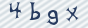 secimg