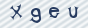 secimg