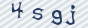 secimg